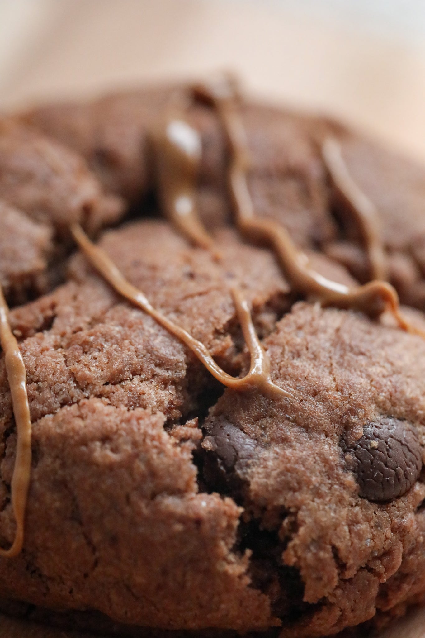 L'obscur praliné - Chocolat noir et insert praliné amande-noisette